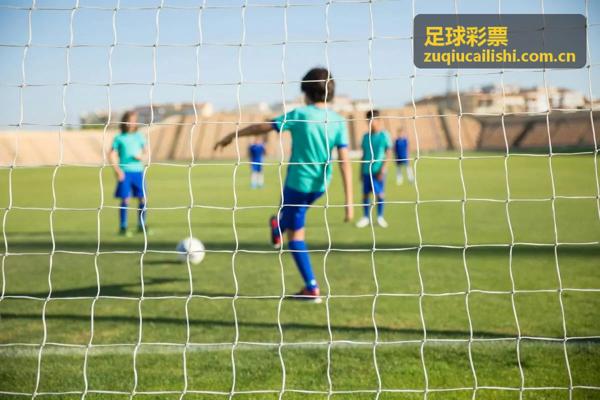 足球彩票胜负彩预测服务